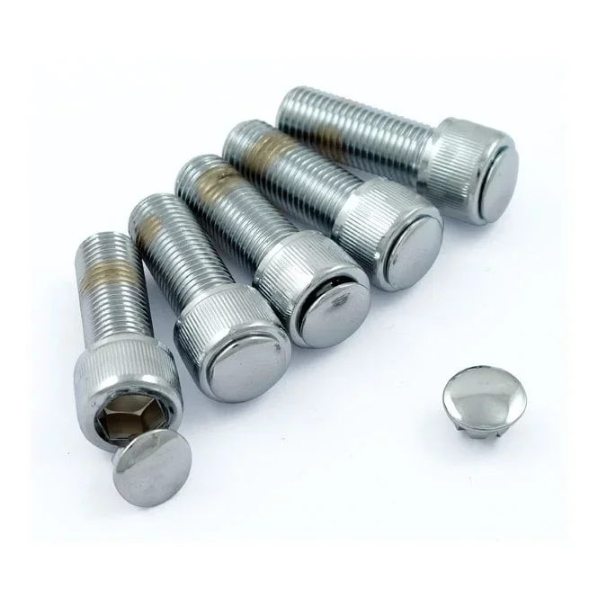 Kuryakyn Hot Spots 1/4″. Chrome Allen head bolts