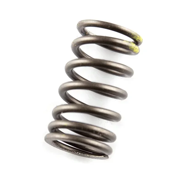 Valve Spring